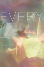 Every Little Thing 2024 Subtitle Indonesia