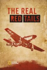 The Real Red Tails 2024 Subtitle Indonesia