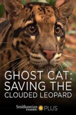 Ghost Cat Saving the Clouded Leopard 2007 Subtitle Indonesia